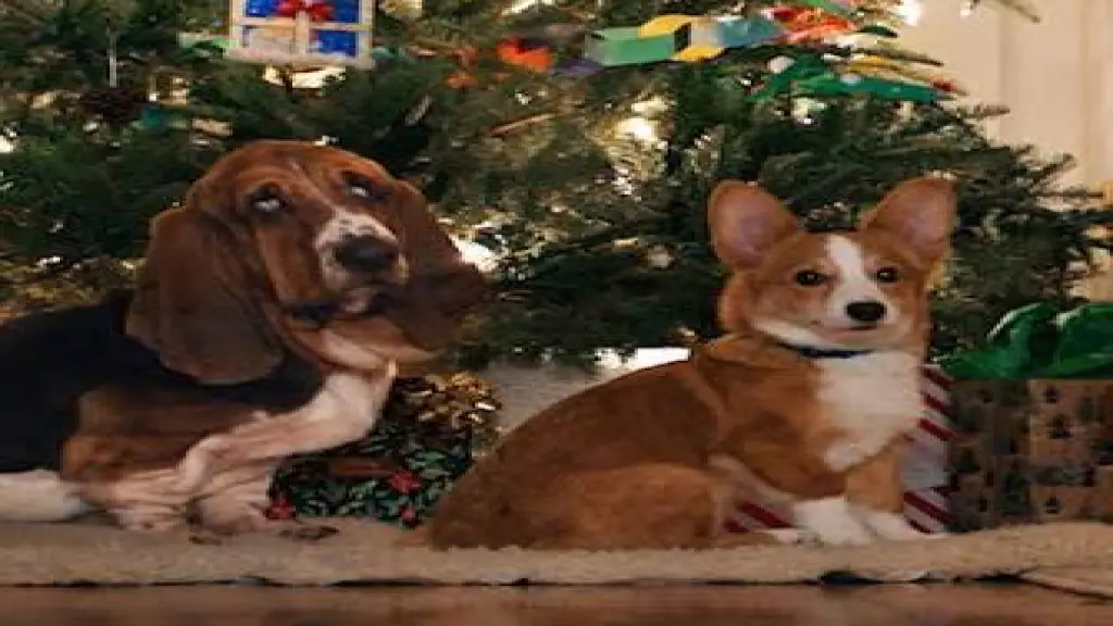 La razón de estar contigo: Una Navidad perfecta, Netflix